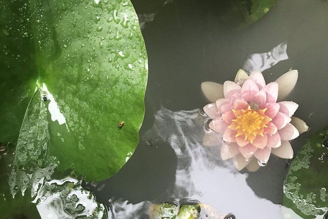 kyoto-descending-arashiyama-private