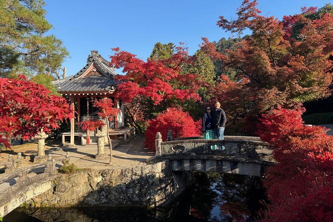kyoto-early-morning-tour-top-landmarks-in-half-a-day