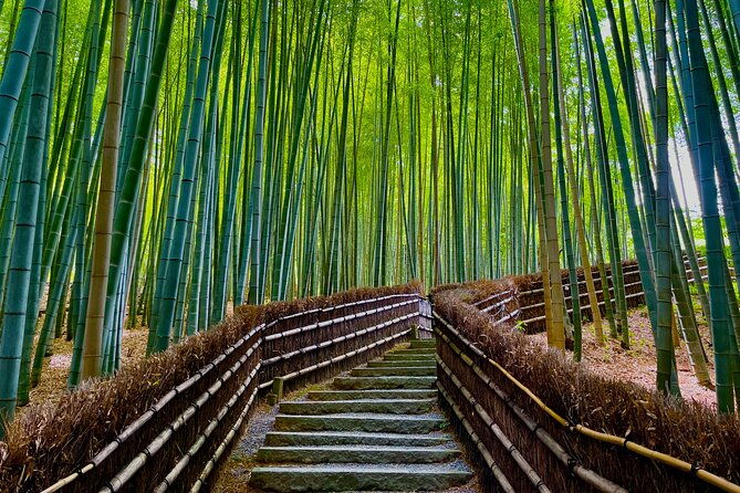 kyoto-early-morning-walking-tour-nature-history-2