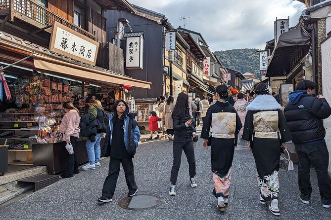 kyoto-highlights-full-day-private-guided-tour-from-tokyo
