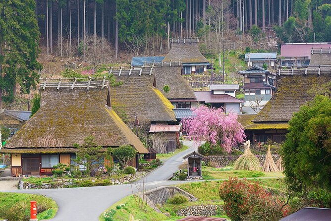 kyoto-ine-bay-amanohashidate-and-miyama-village-tour-from-osaka