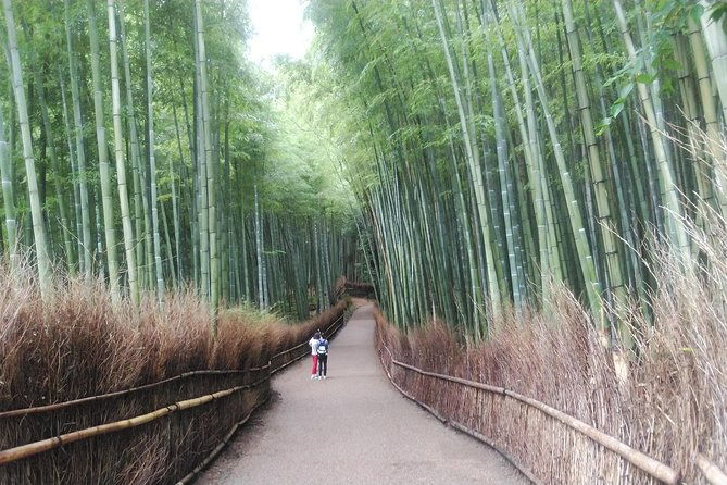 kyoto-lazy-bird-walking-tour