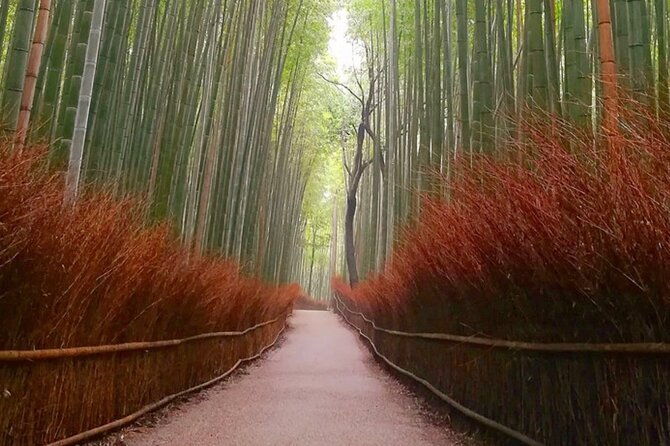 kyoto-osaka-nara-full-day-tour-by-car-english-speaking-driver