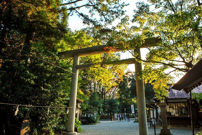 kyushu-day-trip-miyazaki-takachiho-gorge-and-shrine-from-fukuoka