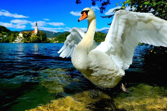 lake-bled-half-day-excursion-from-ljubljana