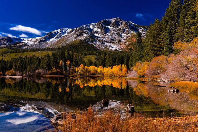 lake-tahoe-small-group-photography-scenic-half-day-tour