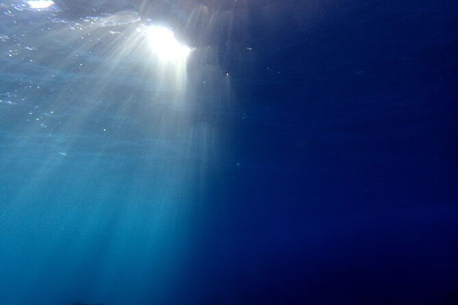lets-enjoy-scuba-diving-in-izu-oceanic-park-izu-peninsula-for-certificate-diver