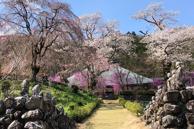 little-adventure-with-cycling-in-tokyo-no-1-crystal-clear-river