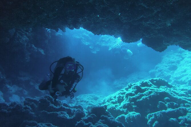 local-guided-dives-for-certified-licensed-divers