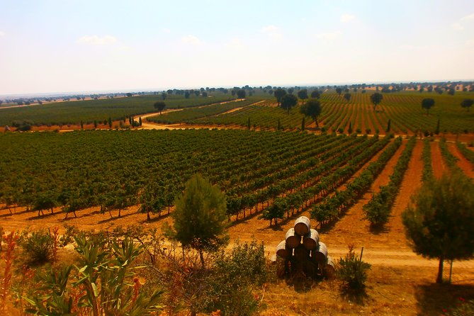 madrid-countryside-wineries-guided-tour-with-wine-tasting