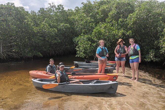 manatees-and-mangrove-tunnels-small-group-kayak-tour