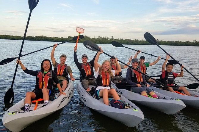 mangrove-tunnels-dolphins-manatee-tour-1-rated-in-cocoa-beach