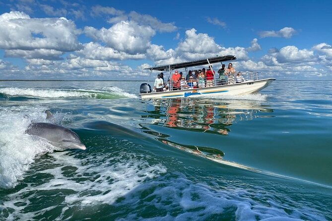 marco-island-dolphin-sightseeing-tour