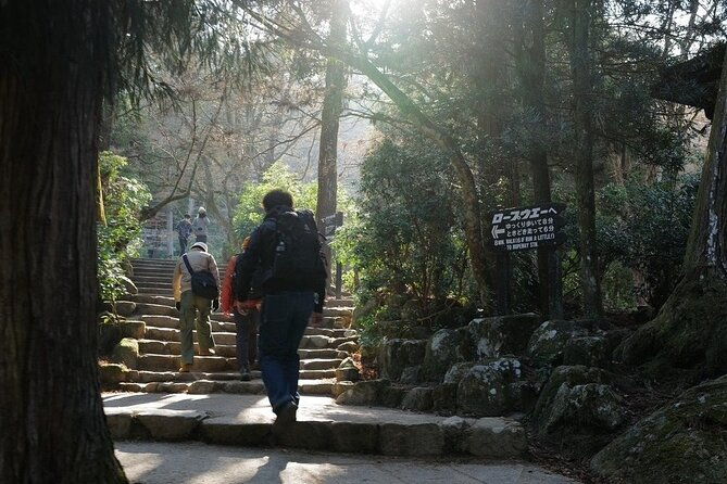 miyajima-island-tour-with-certified-local-guide