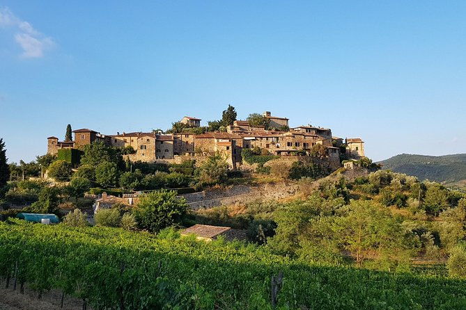 montefioralle-winery-tour-and-wine-tasting-in-chianti