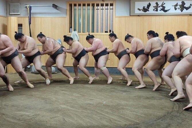 morning-sumo-practice-viewing-in-tokyo
