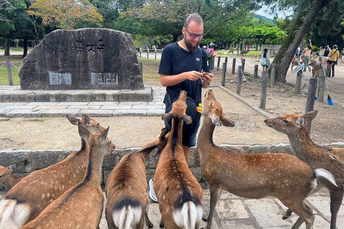 morning-wonder-world-heritage-nara-guided-tour