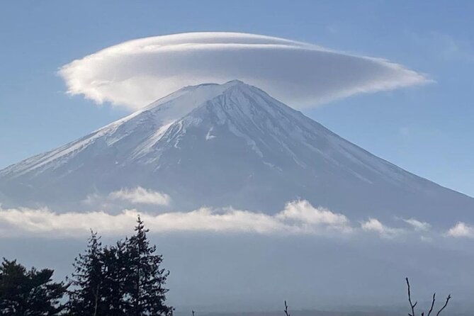 mount-fuji-and-hakone-day-trip-with-english-professional-guide