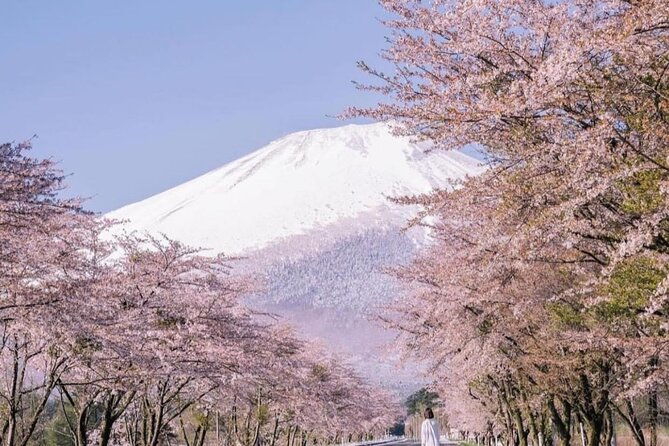 mount-fuji-customizable-one-day-private-guided-tour-from-tokyo-2