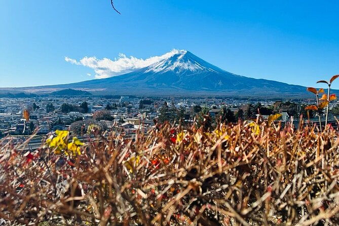 mount-fuji-full-day-private-tour