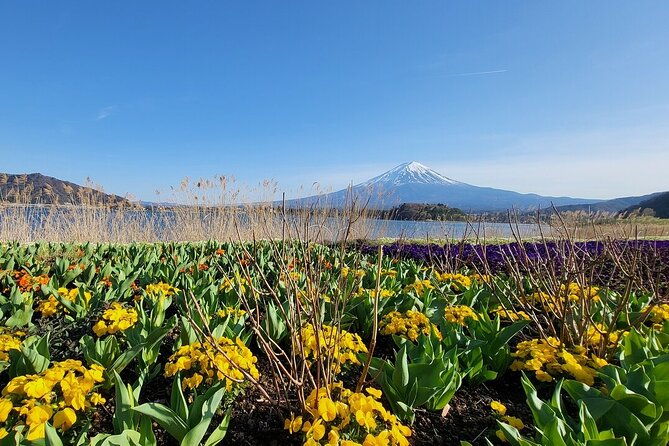mount-fuji-hakone-private-customized-sightseeing-english-trip