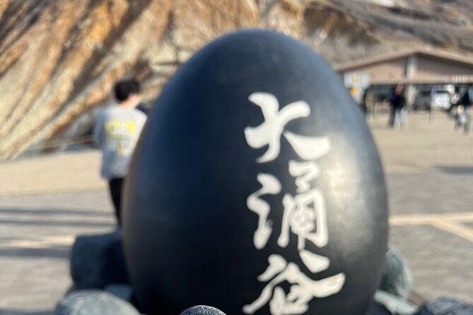 mt-fuji-and-cherry-blossom-day-trip-with-english-speaking-driver
