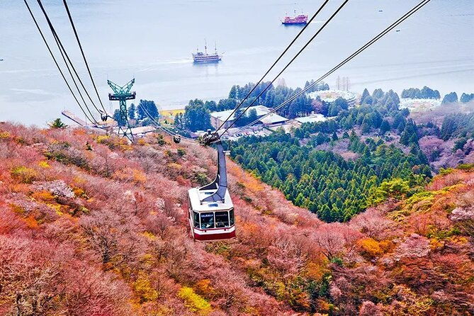 mt-fuji-and-hakone-land-sea-air-tour-with-free-skycar-from-tokyo