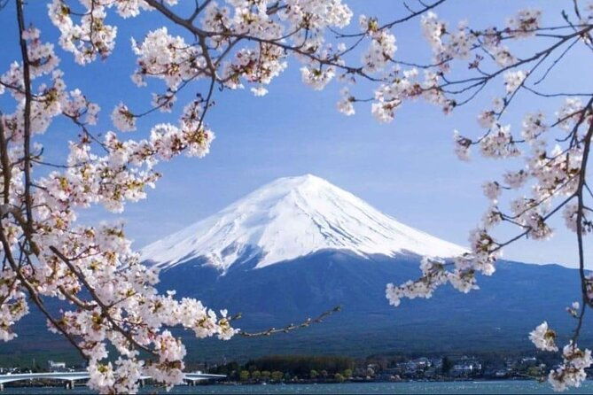 mt-fuji-and-lake-kawaguchi-day-trip-with-guide