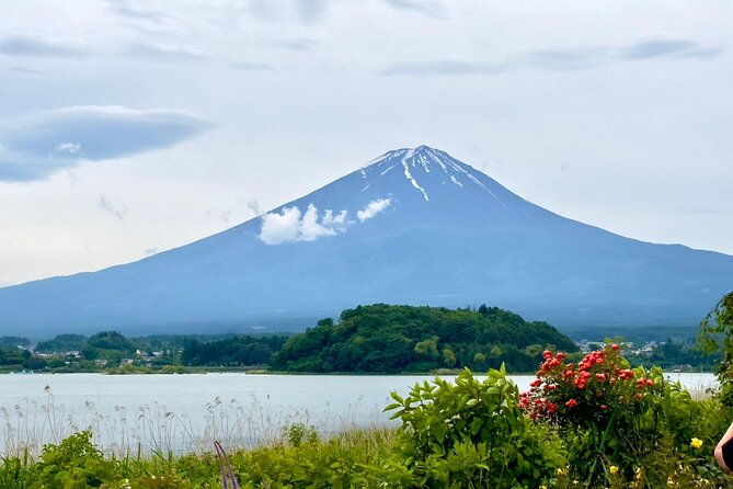 mt-fuji-cherry-blossom-one-day-private-tour-with-pickup