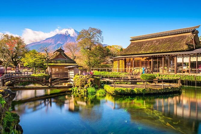 mt-fuji-exploration-tour-with-free-japanese-kusa-mochi-from-tokyo