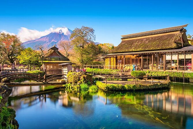 mt-fuji-gotemba-outlet-and-hot-springs-tour-from-tokyo