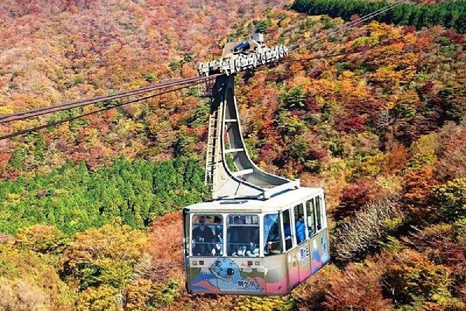 mt-fuji-hakone-cruise-drum-show-bullet-train-1-day-from-tokyo