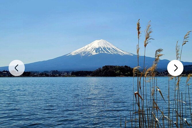 mt-fuji-hakone-full-day-private-tour-with-english-driver-guide
