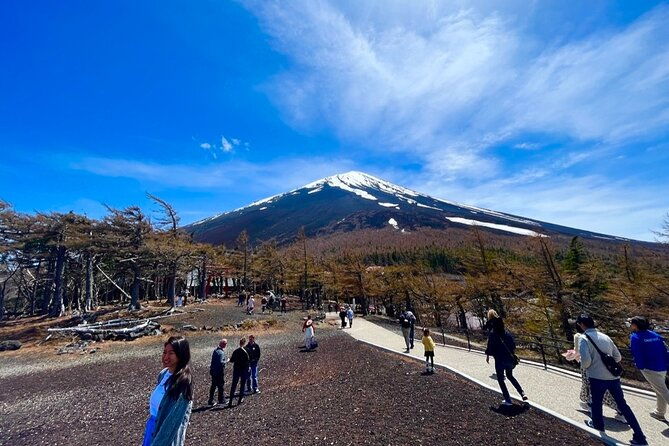 mt-fuji-hakone-private-tour-with-english-speaking-guide