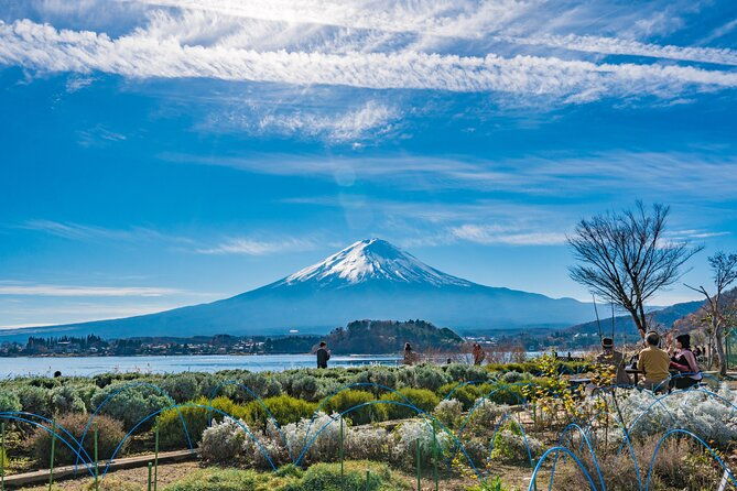 mt-fuji-highlight-photo-spots-one-day-tour-from-tokyo