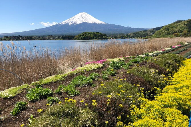 mt-fuji-plus-gotembatour-from-to-tokyoyokohama-2-12-guests
