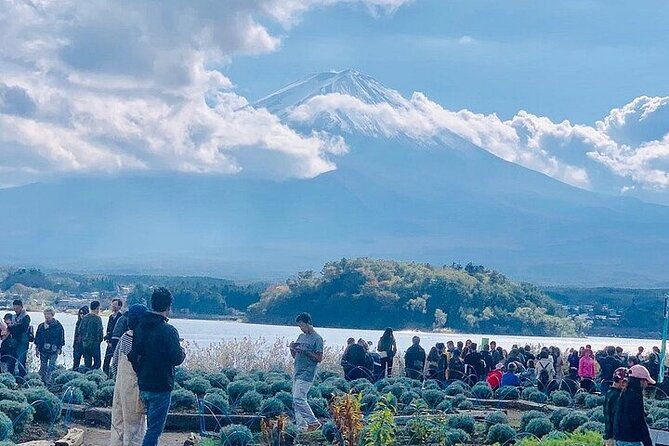 mt-fuji-private-sightseeing-day-trip-with-english-speaking-driver