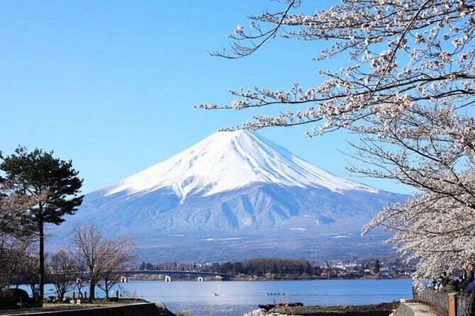 mt-fuji-private-tour-from-tokyo-with-english-guide