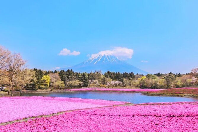mt-fuji-to-lake-kawaguchi-lake-yamanaka-and-onsen-day-tour