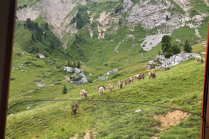 mt-pilatus-with-lake-of-lucerne-cruise-private-tour-from-lucerne