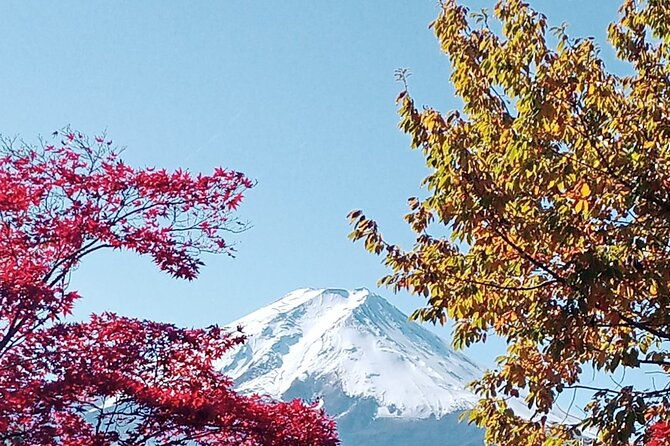 muslim-friendly-mount-fuji-tour-with-english-speaking-chauffeur