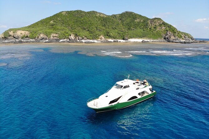 naha-kerama-islands-snorkeling-tour-limited-time-whale-watching