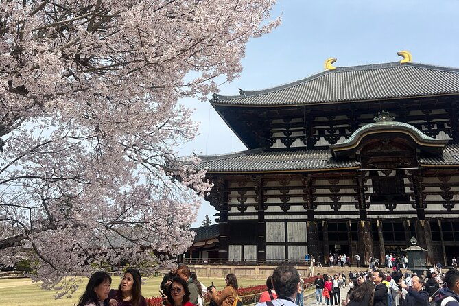 nara-day-trip-from-kyoto-with-a-licensed-guide