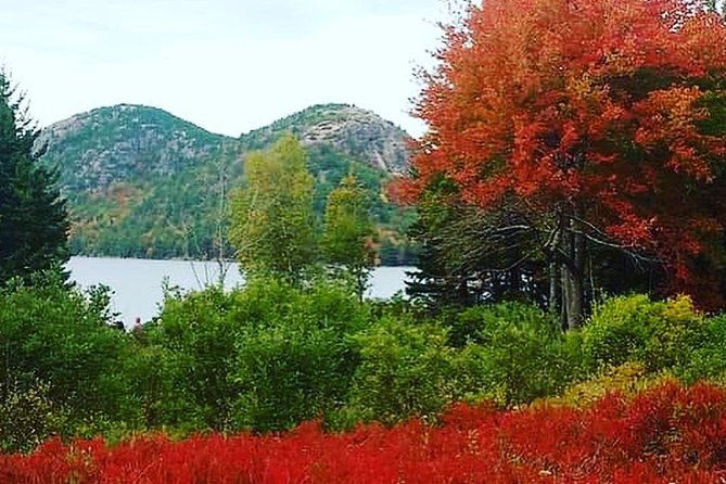 narrated-bus-tour-of-bar-harbor-and-acadia-national-park