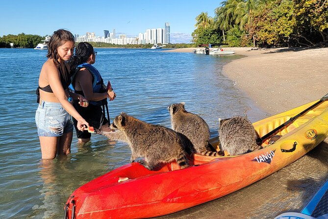 nature-island-exploration-on-sup-kayak