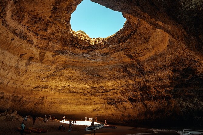new-lagos-watching-dolphins-and-benagil-cave-with-biologists
