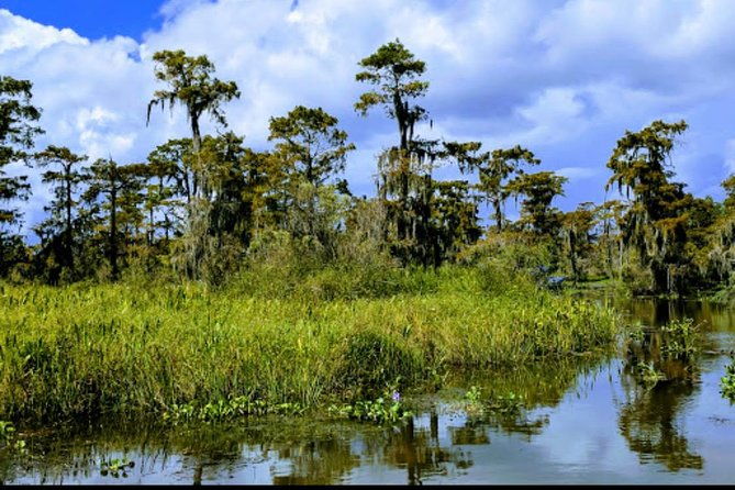 new-orleans-swamp-tour-boat-adventure-with-transportation
