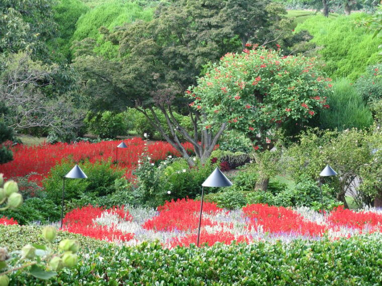 nokonoshima-island-park-garden-tour-wagyu-bbq-lunch