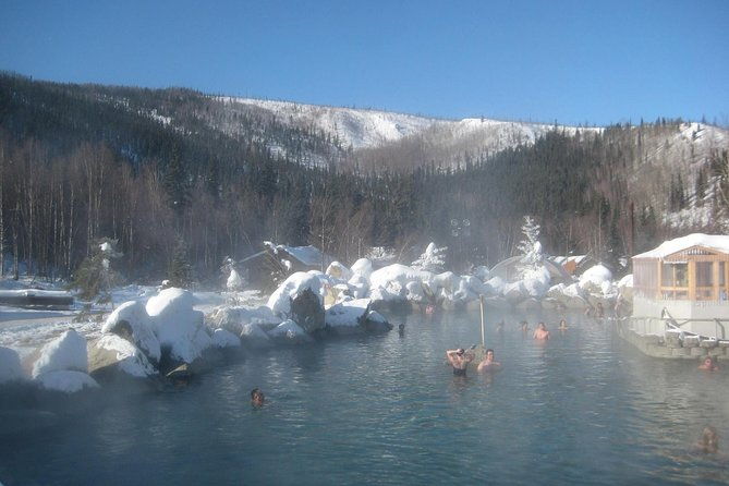 northern-lights-and-chena-hot-springs-tour-from-fairbanks