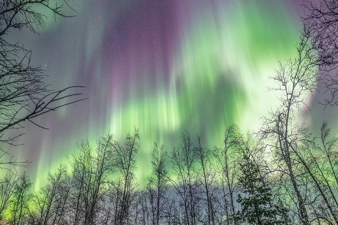 northern-lights-private-tour-with-your-special-ones-greenlander